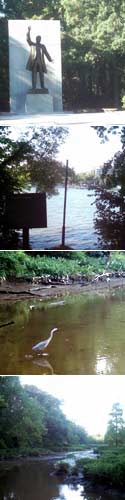 Photos of Theodore Roosevelt Island.